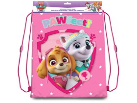 Worek na buty Paw Patrol II