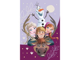 Kocyk dziecięcy Frozen II Family