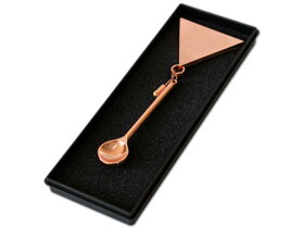 Brązowy medal w kształcie łyżki dla kucharzy