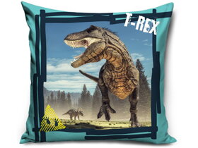 Poduszka dziecięca Dinozaury II
