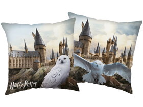 Poduszka dekoracyjna Harry Potter - Hedwiga