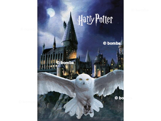 Kocyk dla dzieci Harry Potter