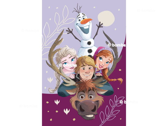 Kocyk dziecięcy Frozen II Family