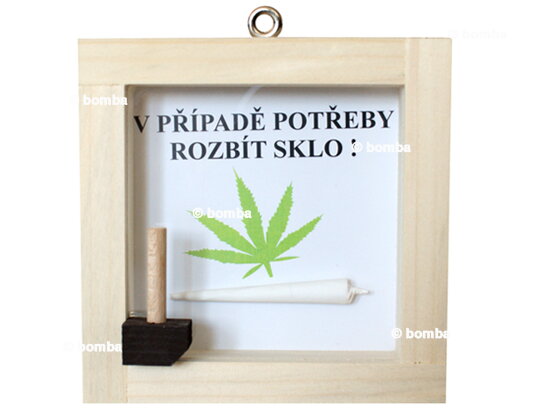 Obrazek Pierwsza pomoc - Joint CZ