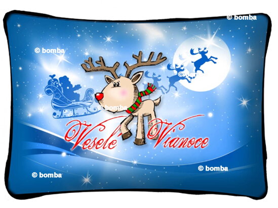 Christmas Cushion with Reindeer SK